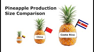 Pineapple Production Size Comparison by Country | AbyazTW #comparison