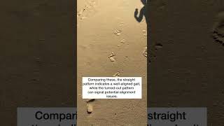 Uncovering the Secrets of Your Walk: Footprints in the Sand