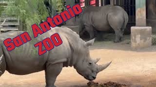 San Antonio Zoo 2024