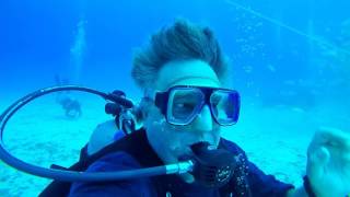 Shark Feed Dive aboard the Blackbeard Cruise