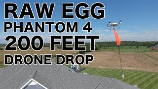 Egg Drop