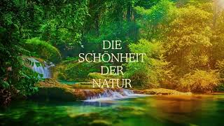 Schönheit der Natur