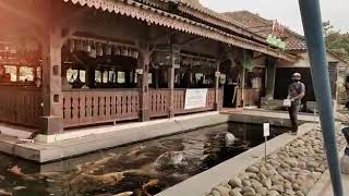 AH POONG  Sentul || Jalan bareng KINAN || wisata hemat