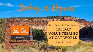 A Day in the Life of a Best Friends Animal Sanctuary Volunteer (Cat World)