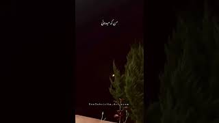 زندگی کردم تورا با همه قلبم🫠🤎 #اهنگ_جدید #love #shortvideo #viralvideo #احساسی #کلیپ_جدید #اهنگ