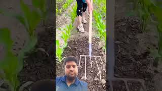 Gajab Gajab #agricultre #subscribe #world #hardwork #trending #farmer #tractor #shorts