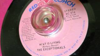 The Exceptionals / What Is Living (Red Coach 814) 1975