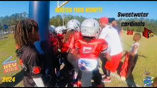 Sweet Water Cardinals vs St Augustine Toros 8u