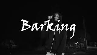 Babyfxce E x Flint x Detroit Sample Type Beat - Barking