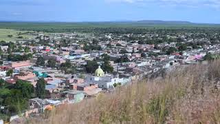 El Sitio Pinos Zacatecas, La Mejor Producción De Tuna