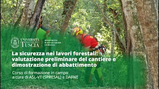 🌲LA SICUREZZA NEI LAVORI FORESTALI