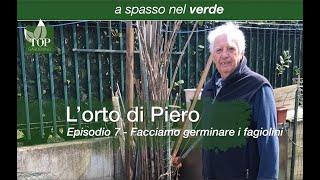 L'orto di Piero - Episodio 7 - Come far germinare i fagiolini | topgardening