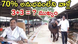 70% అనుభవంలేని వాళ్లే Is the dairy farm a loss? @MalleshAdla