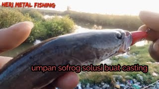 Rejeki emang ga kemana ll strek bertubi tubi ll casting ikan gabus