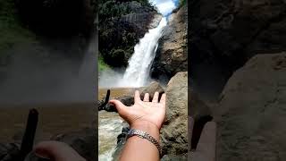 දිය ඇලි කියන්නෙම පිස්සුවක් 🍃 #trending #viral #waterfall #shortsfeed #sri lanka #nature #beautiful