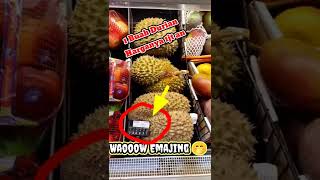 Waow 1 Buah Durian harganya 1 juta #durian #durianlokal #durianmontong