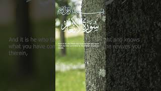 Surah Al-An'am Mishary bin Rashid AAlaafasy I Ayah 60