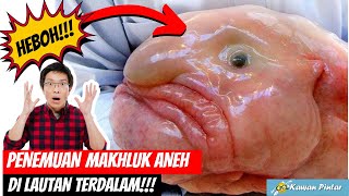 BERITA VIRAL! PENEMUAN TIDAK DISENGAJA MAKHLUK ANEH DI DALAM LAUTAN!!