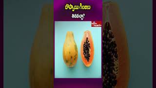 బొప్పాయి గింజలు తినవచ్చా..? #shorts #papayabenefits #papayseeds #healthbenefits #hmtvhealthplus