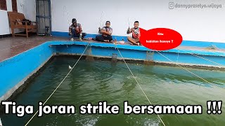 Mancing Ikan Mas | Habisin Seisi Kolam !!