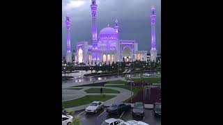 Rang birangi masjid || Mohammadrehanqasmi || #shortvideo