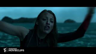 The Shallows 4 10 Movie CLIP   Stop! 2016 HD