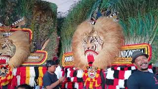 PULUHAN DADAK MERAK REOG PONOROGO SUPER BESAR DAN BAGUS BAGUS #dadakmerak #reog #pembarong