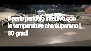 Napoli .                               Interi quartieri  periferici abbandonati.