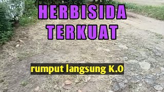 herbisida kontak ini tumpas berbagai jenis rumput dan segala macam gulma