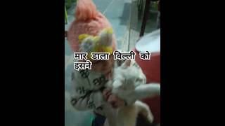 बच्ची ने मार डाला बिल्ली को 😡😱 ,bacchi ne mar dala billi ko#viralvideo #ytviral #1million #travel #$