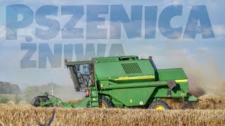 ŻNIWA 2O21! 🇵🇱 Pszenica ☆ GR Rolnik ☆ CLAAS I PRZEBITA OPONA!! & JD 1450 CWS /6195R ☆ AGRO Wiesniak™