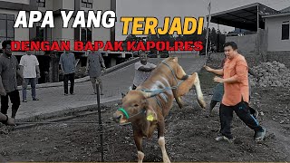 APA YANG TERJADI ???. hampir jadi korban saat Qurban Idul Adha