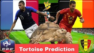 FRANCE vs BELGIUM Prediction | Speedy The Tortoise Prediction Semi-Final World Cup 2018