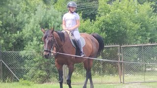 Moja 2 jazda konna❤️🔥‼️🐴🐴😍#horse#pasja #horseriding #love