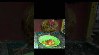 Chicken Feed List #Viral #Shorts