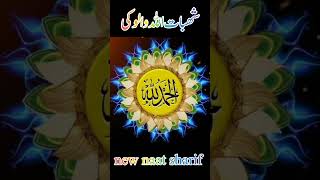 sohabat allah walon ki new naat Sharif