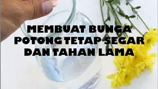 MEMBUAT BUNGA POTONG TETAP SEGAR DAN TAHAN LAMA