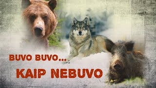 Buvo buvo... kaip nebuvo - Kostas Kubilinskas