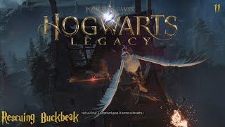 Finally Flying a Hippogriff - Hogwarts Legacy Walkthrough Part 11 (PS5 - No Commentary)