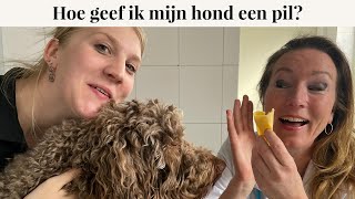 Hoe geef ik mijn hond een pil? | Instructievideo