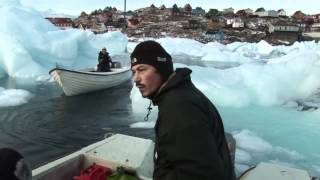 Trailer IceBerg Riders