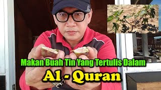 MAKAN BUAH YG TERTULIS DALAM AL QURAN