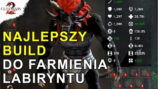 NAJLEPSZY Build do Farmienia Labiryntu | Guild Wars 2