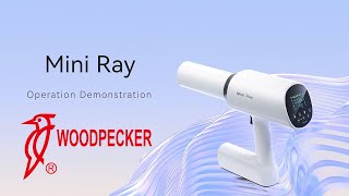 Woodpecker Mini Ray  Periapikal Röntgen Cihazı