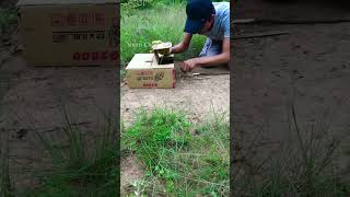 shorts Channel " Amazing Unique parrot Trap using Box Best