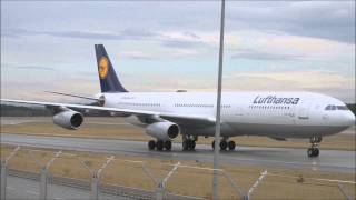 Airbus A340-300 Lufthansa Landing RWY 25R @Frankfurt Airport