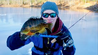 Catching BIG Bluegill and Bass Through The Ice!