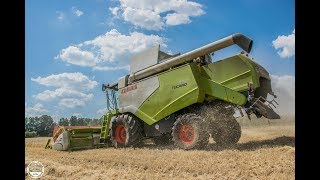 Dreschen 2018 // Claas Tucano 450