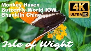 Isle of Wight Ep 4 Z1000SX Gopro Fusion 360 Monkey Haven, Butterfly World IOW, Shanklin Chine 4K