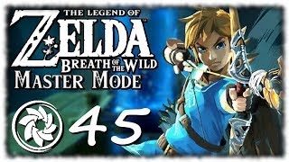 Breath of the Wild: Master Mode - PART 45 - Pro Zelda Player